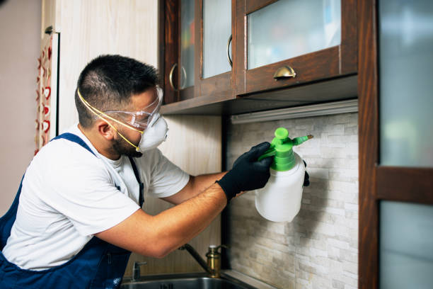 Best Ant Control Services  in Crab Orchard, WV