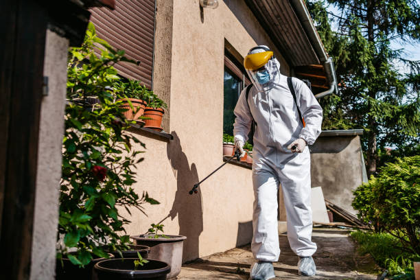 Best Affordable Pest Control Services  in Crab Orchard, WV