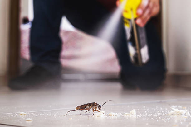 Wasp Removal Services in Crab Orchard, WV