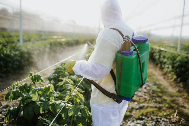 Best Wildlife Control Services  in Crab Orchard, WV